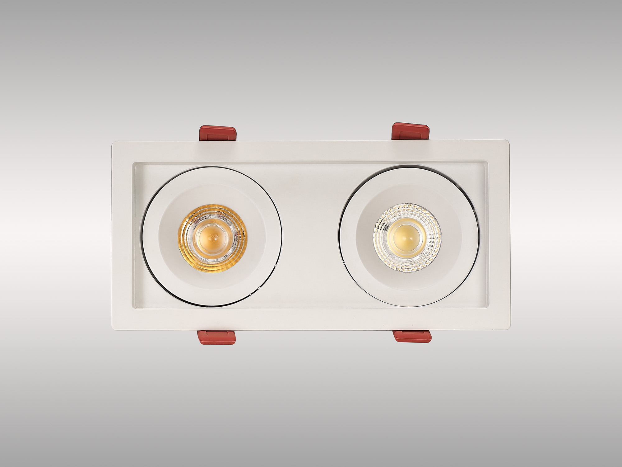 Bezz 12-2 Powered by Tridonic 2x12W 2x1200lm 4000K 24° LED Engine,350mA ,  Matt White  Adj. Deep Recess spot light,  IP20. DM202007  Dlux Bezz 12-2